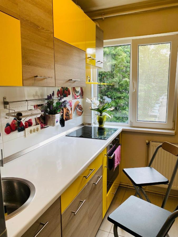 City Center Apartment Temešvár Exteriér fotografie