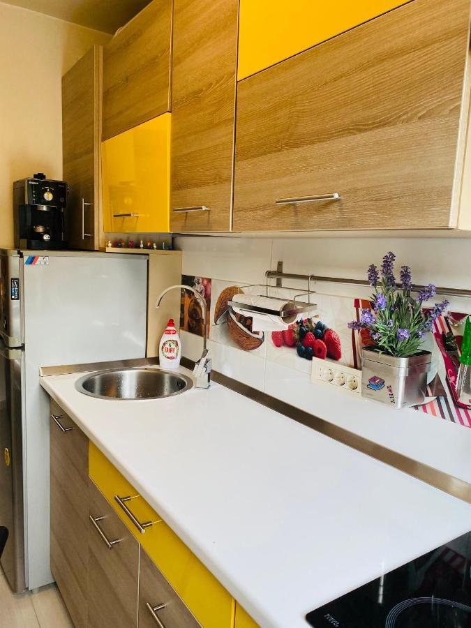 City Center Apartment Temešvár Exteriér fotografie